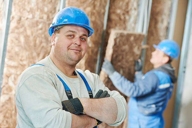 Best Insulation Installation Services in Wellsville, OH